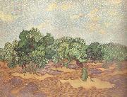 Olive Grove:Pale Blue Sky (nn04) Vincent Van Gogh